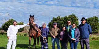 Ñuble destacó avances en control de anemia infecciosa equina y avanza en trazabilidad del rubro Ñuble destacó avances en control de anemia infecciosa equina y avanza en trazabilidad del rubro