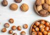 ODEPA: Exportaciones frutícolas llegan a US$8.540 millones y crecen 4% impulsadas por frutos secos ODEPA: Exportaciones frutícolas llegan a US$8.540 millones y crecen 4% impulsadas por frutos secos