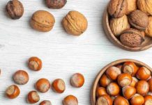 ODEPA: Exportaciones frutícolas llegan a US$8.540 millones y crecen 4% impulsadas por frutos secos ODEPA: Exportaciones frutícolas llegan a US$8.540 millones y crecen 4% impulsadas por frutos secos