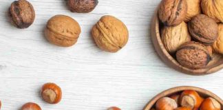 ODEPA: Exportaciones frutícolas llegan a US$8.540 millones y crecen 4% impulsadas por frutos secos ODEPA: Exportaciones frutícolas llegan a US$8.540 millones y crecen 4% impulsadas por frutos secos