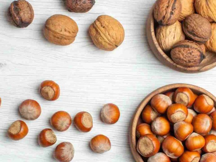 ODEPA Exportaciones frutícolas llegan a US$8.540 millones y crecen 4% impulsadas por frutos secos ODEPA: Exportaciones frutícolas llegan a US$8.540 millones y crecen 4% impulsadas por frutos secos