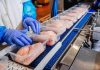 Packaging sostenible: el aliado del futuro para alimentar al mundo con responsabilidad Packaging sostenible: el aliado del futuro para alimentar al mundo con responsabilidad