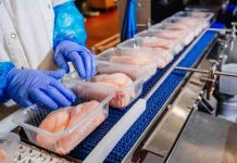 Packaging sostenible: el aliado del futuro para alimentar al mundo con responsabilidad Packaging sostenible: el aliado del futuro para alimentar al mundo con responsabilidad