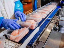 Packaging sostenible: el aliado del futuro para alimentar al mundo con responsabilidad Packaging sostenible: el aliado del futuro para alimentar al mundo con responsabilidad