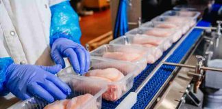 Packaging sostenible: el aliado del futuro para alimentar al mundo con responsabilidad Packaging sostenible: el aliado del futuro para alimentar al mundo con responsabilidad