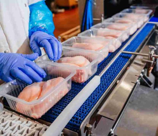 Packaging sostenible: el aliado del futuro para alimentar al mundo con responsabilidad Packaging sostenible: el aliado del futuro para alimentar al mundo con responsabilidad