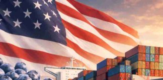 Perú | El nuevo arancel de 12.5% de EE. UU. golpea al arándano peruano y amenaza su liderazgo mundial Perú | El nuevo arancel de 12.5% de EE. UU. golpea al arándano peruano y amenaza su liderazgo mundial
