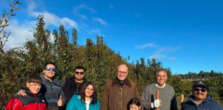 Plantación de árboles con Fundación Legado Chile Garware colabora en la captura de carbono en la cuenca del Lago Llanquihue