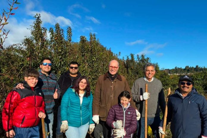 Plantación de árboles con Fundación Legado Chile Garware colabora en la captura de carbono en la cuenca del Lago Llanquihue Plantación de árboles con Fundación Legado Chile Garware colabora en la captura de carbono en la cuenca del Lago Llanquihue