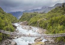 Por cada dólar invertido en los parques nacionales de la Patagonia