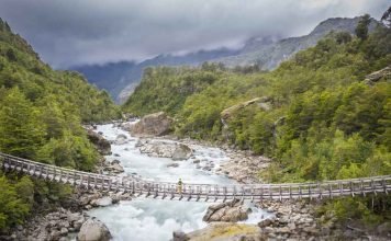 Reportaje | Por cada dólar invertido en los parques nacionales de la Patagonia, seis retornan a la economía local Por cada dólar invertido en los parques nacionales de la Patagonia