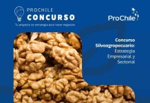 ProChile invita a empresas y gremios de Los Lagos a participar en la convocatoria de Concursos 2027