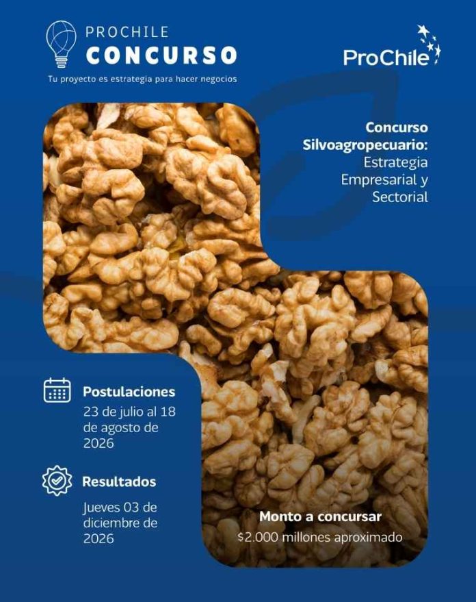 ProChile invita a empresas y gremios de Los Lagos a participar en la convocatoria de Concursos 2027 ProChile invita a empresas y gremios de Los Lagos a participar en la convocatoria de Concursos 2027