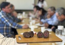 Productores valoran apoyo del Minagri: “vamos a poder ofrecer un producto diferenciado, estandarizado y de calidad” Productores valoran apoyo del Minagri “vamos a poder ofrecer un producto diferenciado, estandarizado y de calidad”