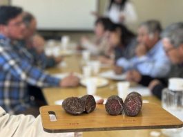 Productores valoran apoyo del Minagri: “vamos a poder ofrecer un producto diferenciado, estandarizado y de calidad” Productores valoran apoyo del Minagri “vamos a poder ofrecer un producto diferenciado, estandarizado y de calidad”