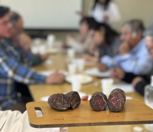 Productores valoran apoyo del Minagri: “vamos a poder ofrecer un producto diferenciado, estandarizado y de calidad” Productores valoran apoyo del Minagri “vamos a poder ofrecer un producto diferenciado, estandarizado y de calidad”