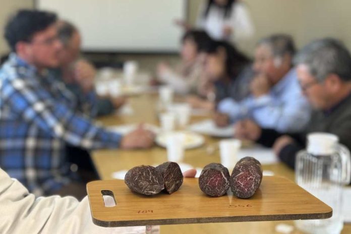 Productores valoran apoyo del Minagri “vamos a poder ofrecer un producto diferenciado, estandarizado y de calidad” Productores valoran apoyo del Minagri “vamos a poder ofrecer un producto diferenciado, estandarizado y de calidad”