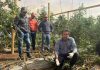 Programa de Corfo dotará de transferencia en riego tecnificado y análisis de datos a productores agrícolas de Ovalle Programa de Corfo dotará de transferencia en riego tecnificado y análisis de datos a productores agrícolas de Ovalle