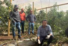 Programa de Corfo dotará de transferencia en riego tecnificado y análisis de datos a productores agrícolas de Ovalle Programa de Corfo dotará de transferencia en riego tecnificado y análisis de datos a productores agrícolas de Ovalle
