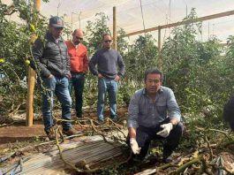 Programa de Corfo dotará de transferencia en riego tecnificado y análisis de datos a productores agrícolas de Ovalle Programa de Corfo dotará de transferencia en riego tecnificado y análisis de datos a productores agrícolas de Ovalle