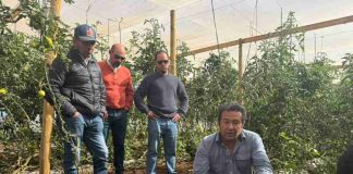 Programa de Corfo dotará de transferencia en riego tecnificado y análisis de datos a productores agrícolas de Ovalle Programa de Corfo dotará de transferencia en riego tecnificado y análisis de datos a productores agrícolas de Ovalle
