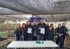 Programa de Emergencia de Empleo de CONAF entregó 2.800 árboles nativos y ornamentales a siete comunas de la región de O’Higgins Programa de Emergencia de Empleo de CONAF entregó 2.800 árboles nativos y ornamentales a siete comunas de la región de O’Higgins