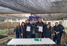 Programa de Emergencia de Empleo de CONAF entregó 2.800 árboles nativos y ornamentales a siete comunas de la región de O’Higgins Programa de Emergencia de Empleo de CONAF entregó 2.800 árboles nativos y ornamentales a siete comunas de la región de O’Higgins