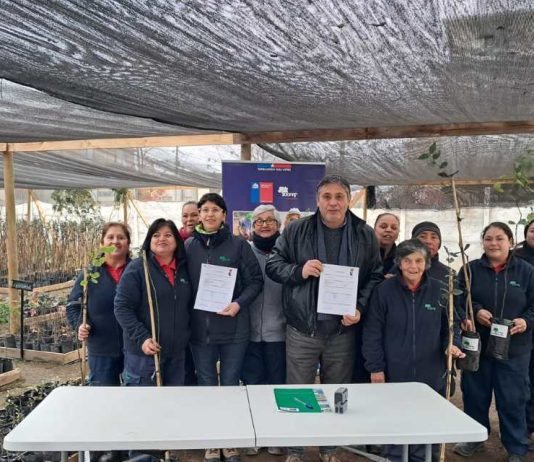 Programa de Emergencia de Empleo de CONAF entregó 2.800 árboles nativos y ornamentales a siete comunas de la región de O’Higgins Programa de Emergencia de Empleo de CONAF entregó 2.800 árboles nativos y ornamentales a siete comunas de la región de O’Higgins