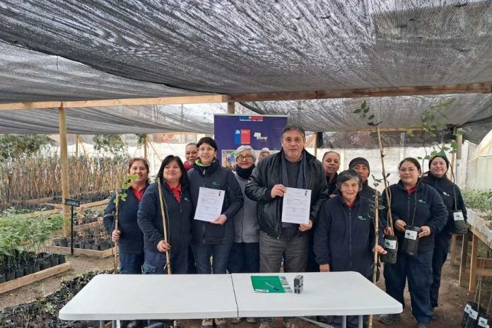 Programa de Emergencia de Empleo de CONAF entregó 2.800 árboles nativos y ornamentales a siete comunas de la región de O’Higgins Programa de Emergencia de Empleo de CONAF entregó 2.800 árboles nativos y ornamentales a siete comunas de la región de O’Higgins