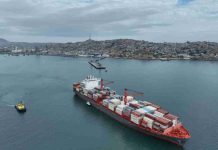 Puerto de Coquimbo cierra temporada de cítricos con más de 36 mil toneladas movilizadas Puerto de Coquimbo cierra temporada de cítricos con más de 36 mil toneladas movilizadas