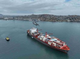 Puerto de Coquimbo cierra temporada de cítricos con más de 36 mil toneladas movilizadas Puerto de Coquimbo cierra temporada de cítricos con más de 36 mil toneladas movilizadas