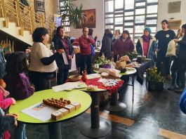 Raíces de Otoño: Virtuosos encuentro agroecológico intercomunal “Folil Rimü” en Malleco Raíces de Otoño Virtuosos encuentro agroecológico intercomunal “Folil Rimü” en Malleco
