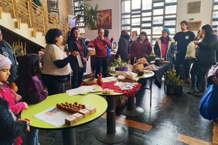 Raíces de Otoño Virtuosos encuentro agroecológico intercomunal “Folil Rimü” en Malleco Raíces de Otoño Virtuosos encuentro agroecológico intercomunal “Folil Rimü” en Malleco