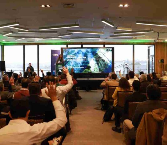 Regenera Patagonia consolidó a los lagos como epicentro de la economía regenerativa Regenera Patagonia consolidó a los lagos como epicentro de la economía regenerativa