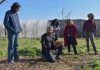 Reportaje | Huertas terapéuticas: Quillota impulsa una alianza entre salud mental, agroecología y comunidad Reportaje | Huertas terapéuticas: Quillota impulsa una alianza entre salud mental, agroecología y comunidad