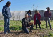 Reportaje | Huertas terapéuticas: Quillota impulsa una alianza entre salud mental, agroecología y comunidad Reportaje | Huertas terapéuticas: Quillota impulsa una alianza entre salud mental, agroecología y comunidad