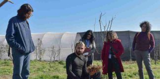 Reportaje | Huertas terapéuticas: Quillota impulsa una alianza entre salud mental, agroecología y comunidad Reportaje | Huertas terapéuticas: Quillota impulsa una alianza entre salud mental, agroecología y comunidad
