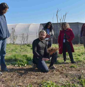 Reportaje | Huertas terapéuticas: Quillota impulsa una alianza entre salud mental, agroecología y comunidad Reportaje | Huertas terapéuticas: Quillota impulsa una alianza entre salud mental, agroecología y comunidad