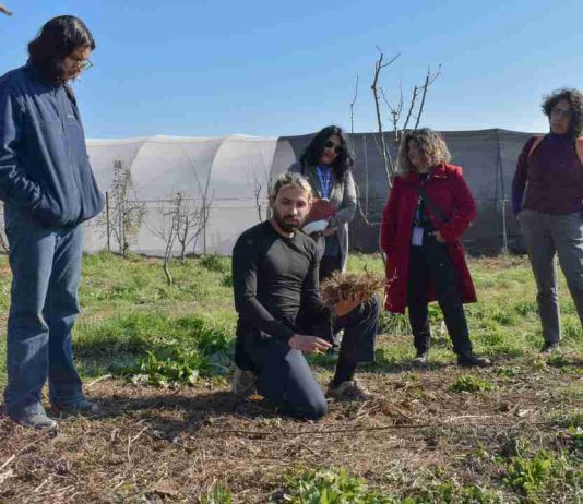Reportaje | Huertas terapéuticas: Quillota impulsa una alianza entre salud mental, agroecología y comunidad Reportaje | Huertas terapéuticas: Quillota impulsa una alianza entre salud mental, agroecología y comunidad