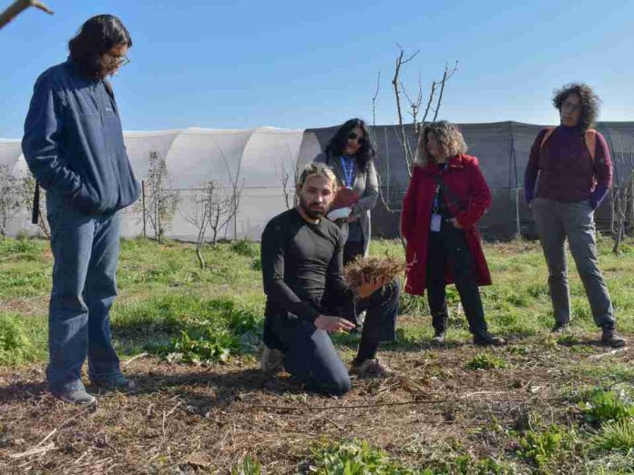 Reportaje Huertas terapéuticas Quillota impulsa una alianza entre salud mental, agroecología y comunidad Reportaje | Huertas terapéuticas: Quillota impulsa una alianza entre salud mental, agroecología y comunidad