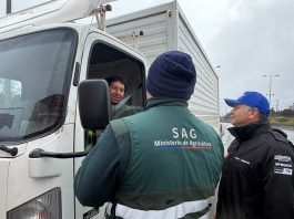 SAG Biobío decomisa más de 8 mil 500 kilos de papas durante fiscalizaciones en la provincia de Arauco SAG Biobío decomisa más de 8 mil 500 kilos de papas durante fiscalizaciones en la provincia de Arauco