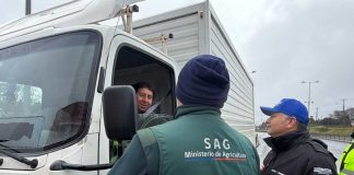 SAG Biobío decomisa más de 8 mil 500 kilos de papas durante fiscalizaciones en la provincia de Arauco SAG Biobío decomisa más de 8 mil 500 kilos de papas durante fiscalizaciones en la provincia de Arauco