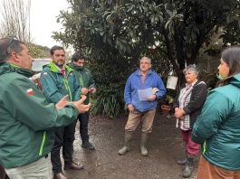 SAG Biobío levanta cuarentenas por influenza aviar en aves de traspatio en Negrete y Los Ángeles SAG Biobío levanta cuarentenas por influenza aviar en aves de traspatio en Negrete y Los Ángeles