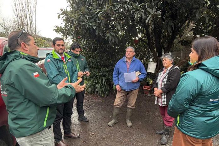 SAG Biobío levanta cuarentenas por influenza aviar en aves de traspatio en Negrete y Los Ángeles