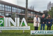 SEREMI DE CIENCIA VISITA INIA CARILLANCA PARA POTENCIAR LA INNOVACIÓN Y SOSTENIBILIDAD AGROALIMENTARIA SEREMI DE CIENCIA VISITA INIA CARILLANCA PARA POTENCIAR LA INNOVACIÓN Y SOSTENIBILIDAD AGROALIMENTARIA