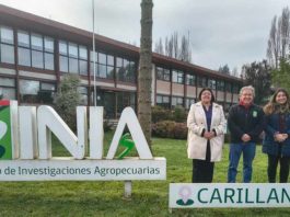 SEREMI DE CIENCIA VISITA INIA CARILLANCA PARA POTENCIAR LA INNOVACIÓN Y SOSTENIBILIDAD AGROALIMENTARIA SEREMI DE CIENCIA VISITA INIA CARILLANCA PARA POTENCIAR LA INNOVACIÓN Y SOSTENIBILIDAD AGROALIMENTARIA