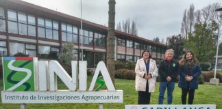 SEREMI DE CIENCIA VISITA INIA CARILLANCA PARA POTENCIAR LA INNOVACIÓN Y SOSTENIBILIDAD AGROALIMENTARIA