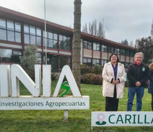 SEREMI DE CIENCIA VISITA INIA CARILLANCA PARA POTENCIAR LA INNOVACIÓN Y SOSTENIBILIDAD AGROALIMENTARIA