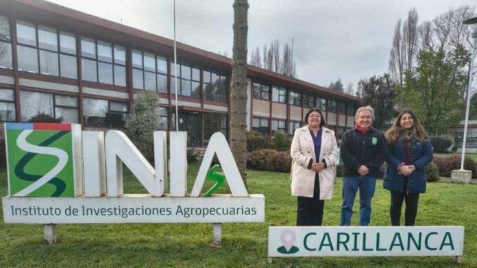 SEREMI DE CIENCIA VISITA INIA CARILLANCA PARA POTENCIAR LA INNOVACIÓN Y SOSTENIBILIDAD AGROALIMENTARIA SEREMI DE CIENCIA VISITA INIA CARILLANCA PARA POTENCIAR LA INNOVACIÓN Y SOSTENIBILIDAD AGROALIMENTARIA