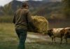 SNA y SNA Educa habilitan centros de acopio para apoyar a familias y productores afectados por el sistema frontal SNA y SNA Educa habilitan centros de acopio para apoyar a familias y productores afectados por el sistema frontal